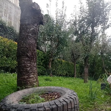 Dom wakacyjny Casa Tranquila